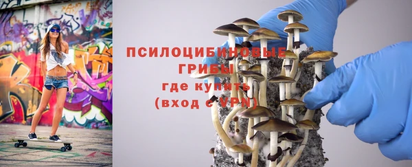 таблы Краснослободск