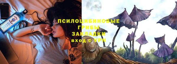 ПСИЛОЦИБИНОВЫЕ ГРИБЫ Красноперекопск
