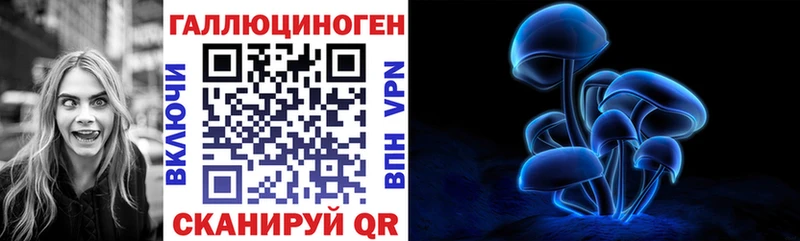 Псилоцибиновые грибы мицелий наркота Новозыбков