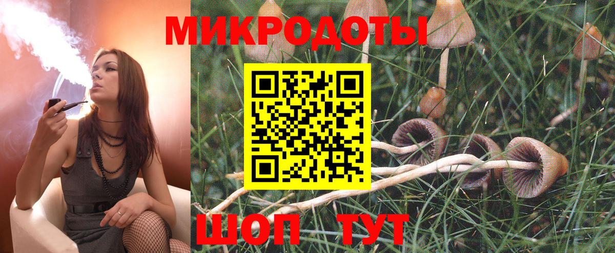 Новозыбков  Галлюциногенные грибы Psilocybe  Вход с VPN 