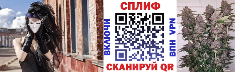 Бошки Шишки семена Новозыбков