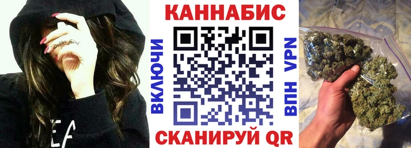 где найти наркотики  Новозыбков  гидра сайт  Конопля SATIVA & INDICA 
